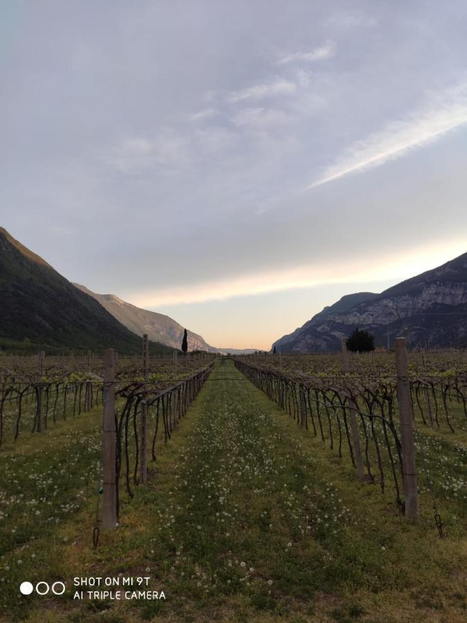 雷维纳农庄酒店 Brentino Belluno 外观 照片