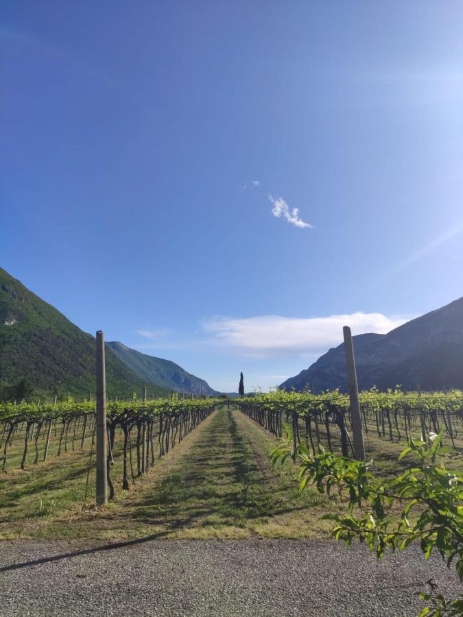 雷维纳农庄酒店 Brentino Belluno 外观 照片
