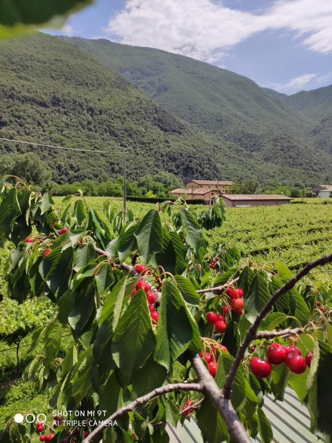 雷维纳农庄酒店 Brentino Belluno 外观 照片